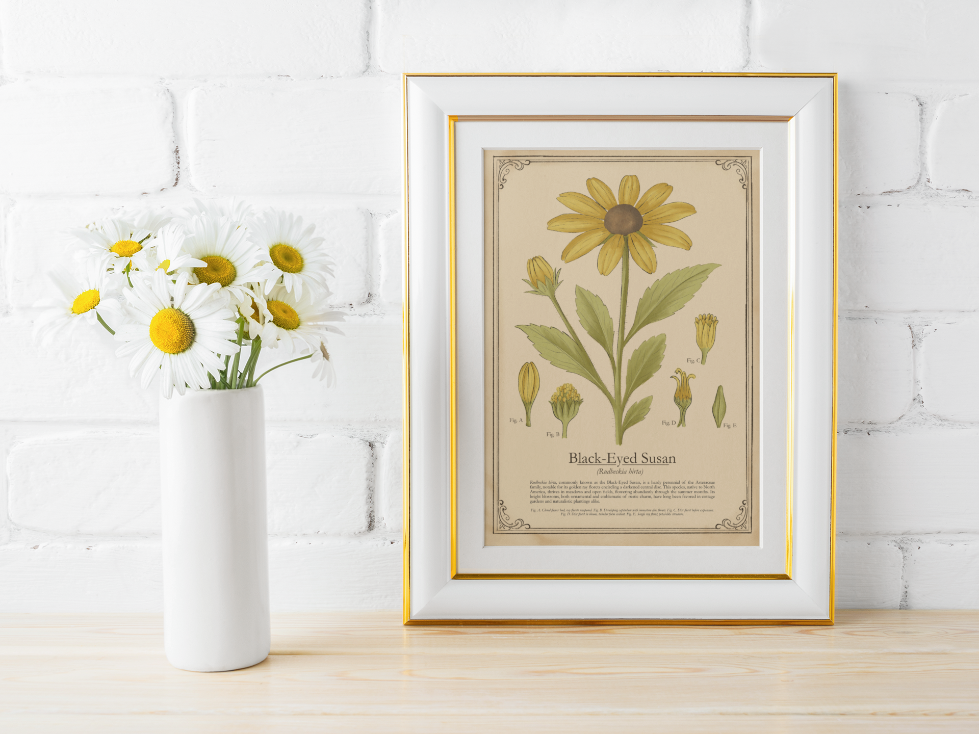 Framed botanical print of a black-eyed Susan next to a vase with flowers on a wooden surface.