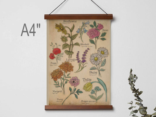 Floral Studies – A4 Botanical Art Print | Wildflower Wall Art | Cottagecore Nature - Inspired Home Decor - Prints - UpperRoomPrints