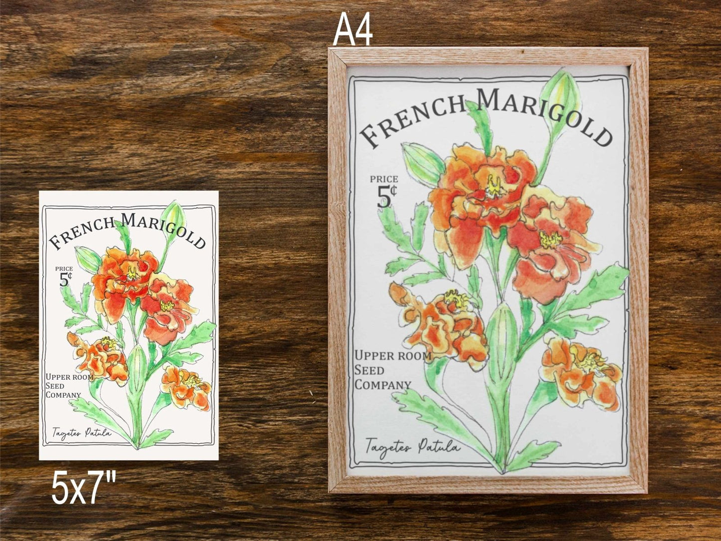 Pocket Full of Blooms Art Print | Botanical Flower Illustration | A4 & 5x7 Floral Wall Art - Prints - UpperRoomPrints
