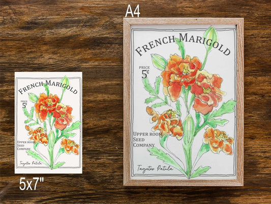 Pocket Full of Blooms Art Print | Botanical Flower Illustration | A4 & 5x7 Floral Wall Art - Prints - UpperRoomPrints