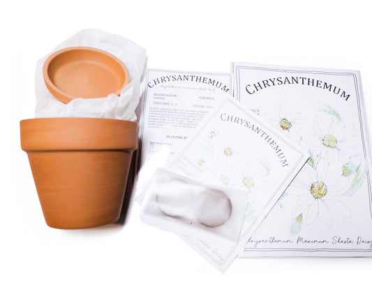 Pocket Full of Blooms – Grow Your Own Wildflowers Kit | Cottagecore Garden Gift | DIY Flower Seed Starter Set - DIY - UpperRoomPrints