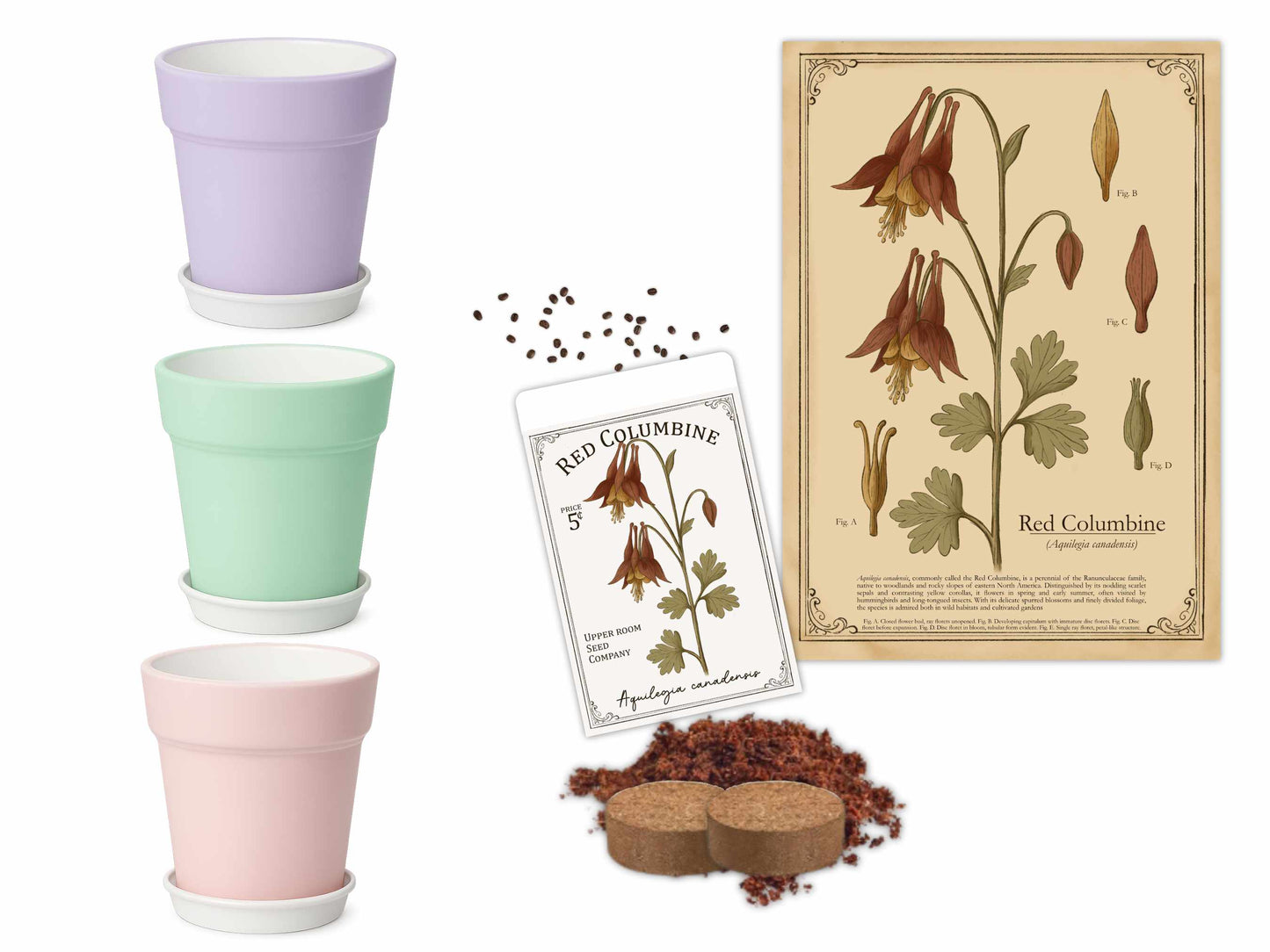 Red Columbine native plant growing kit with pastel pots, vintage botanical art print, seed packet, coconut coir, and planting supplies