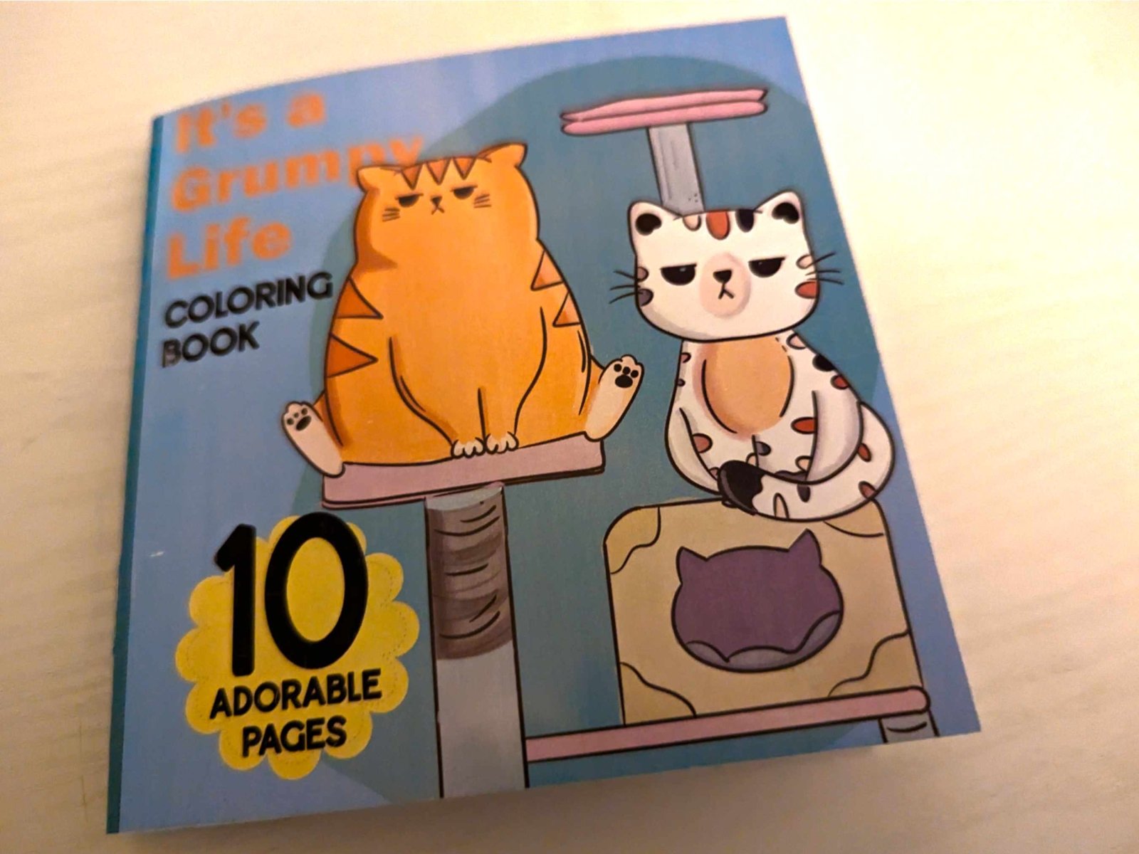 Back cover of Its a Grumpy Life coloring book featuring Mr. Grumps and a calico cat with scratching post design