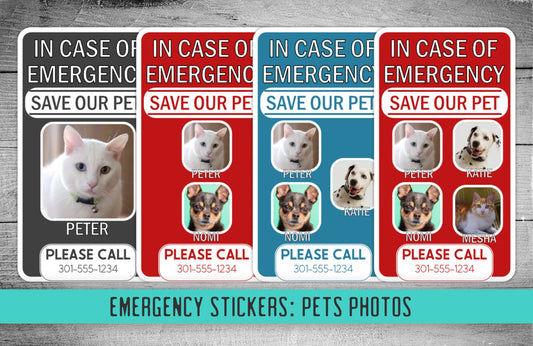 A lineup of custom Pet Emergency Stickers featuring real pet photos, names, and bold colors—displayed on a wooden background to show options for cat and dog owners.
