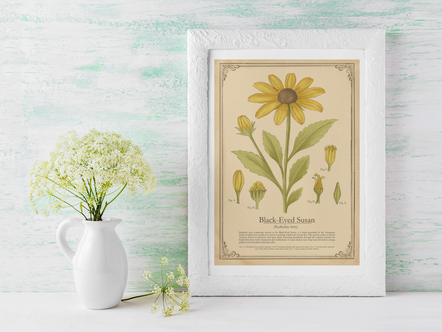 Framed botanical print of a sunflower next to a white pitcher with flowers on a light wooden surface.