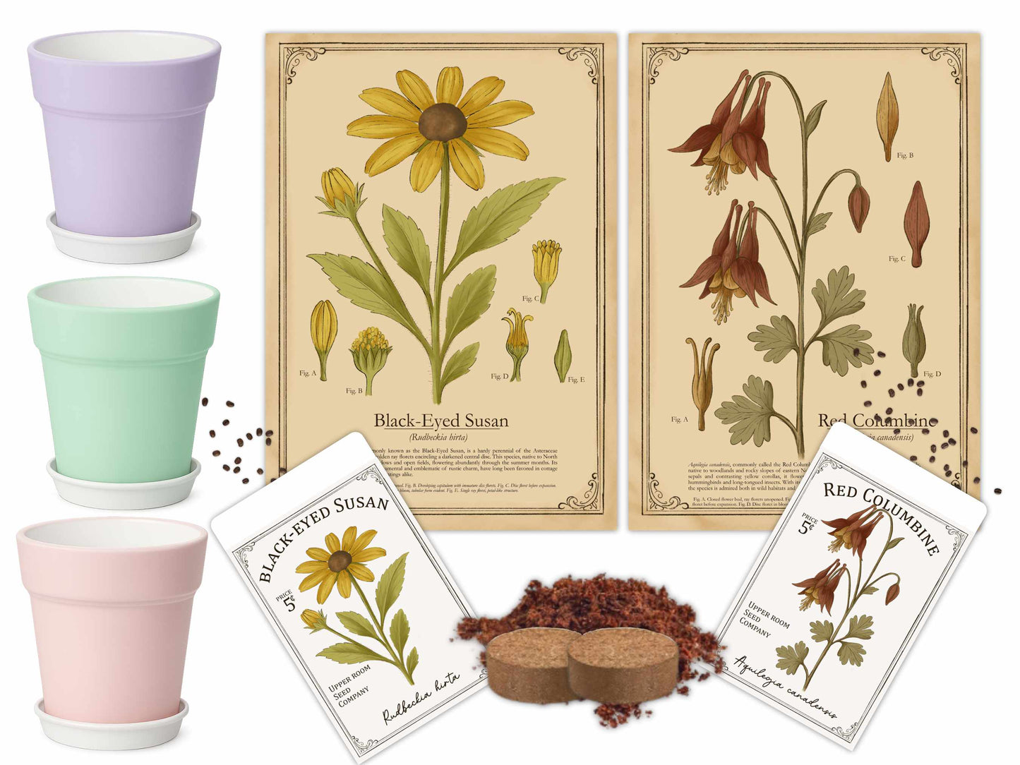 Native plant growing kit with ceramic pots in pink, mint, and lilac, vintage botanical prints of Black-Eyed Susan and Red Columbine, seeds, coconut coir, and wooden rake