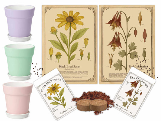 Native plant growing kit with ceramic pots in pink, mint, and lilac, vintage botanical prints of Black-Eyed Susan and Red Columbine, seeds, coconut coir, and wooden rake