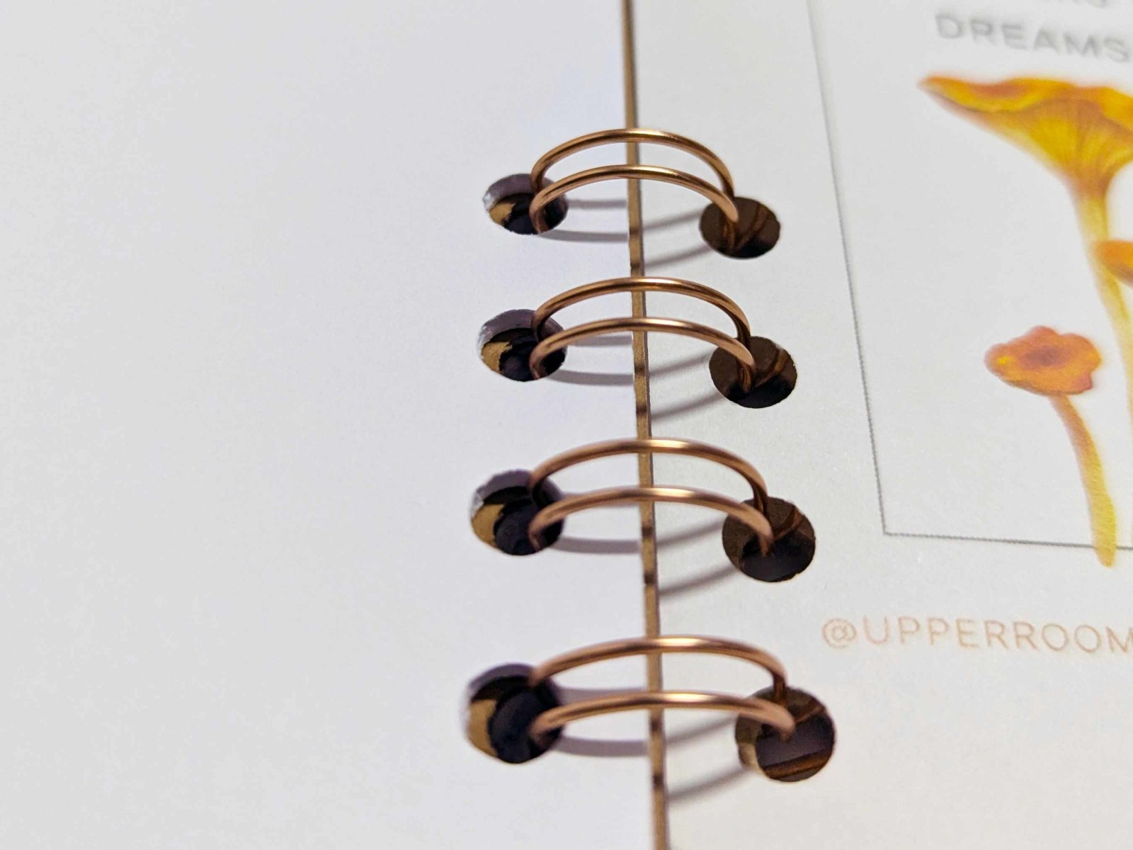 Petals & Pages: Nature’s Notebook | Botanical A5 Journal | Cottagecore Writing & Sketchbook - Notebook - UpperRoomPrints