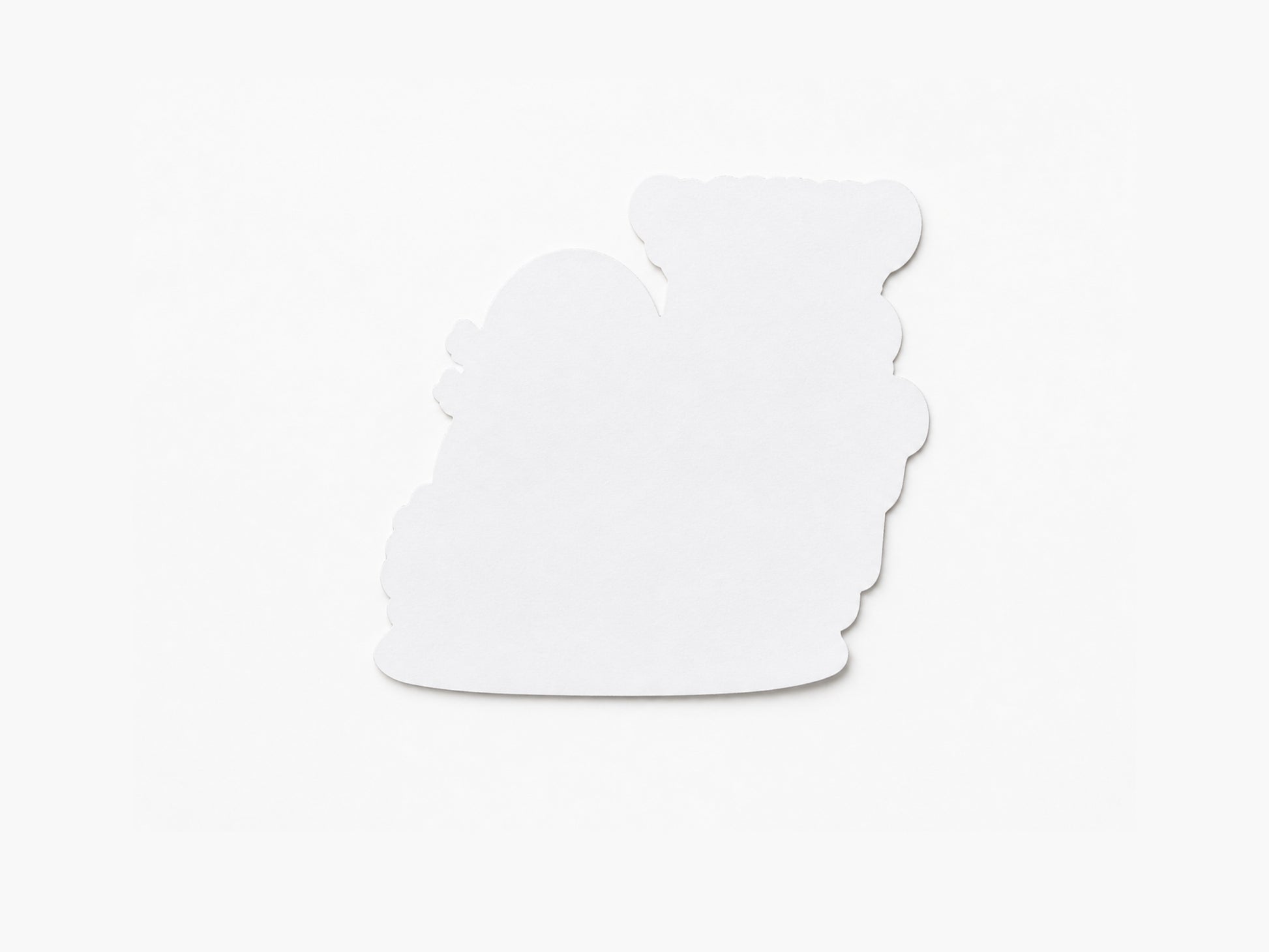Back view of Wilbur turtle sticker showing plain white backing and die cut shape